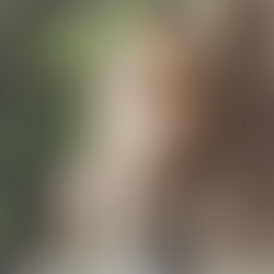 Lin Edel Escort Hure Berlin für Französisch bei Ihr sowie Sex Affäre sofort Termin vereinbaren